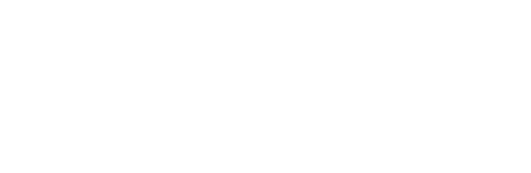 Forte