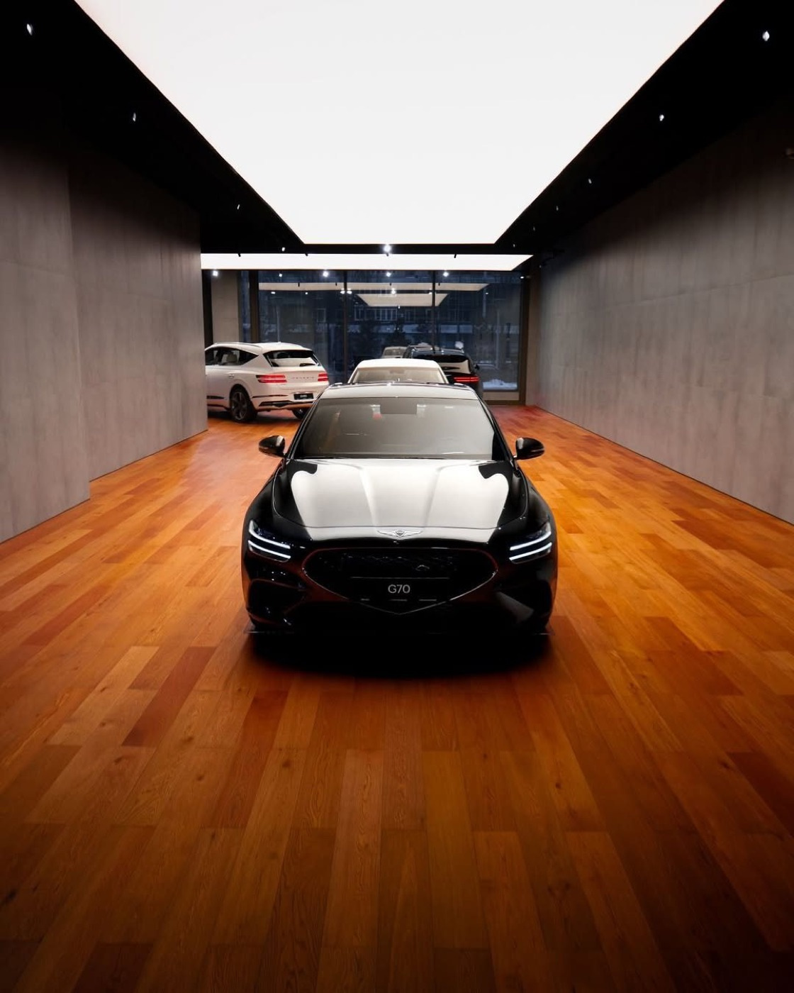 Genesis · 06