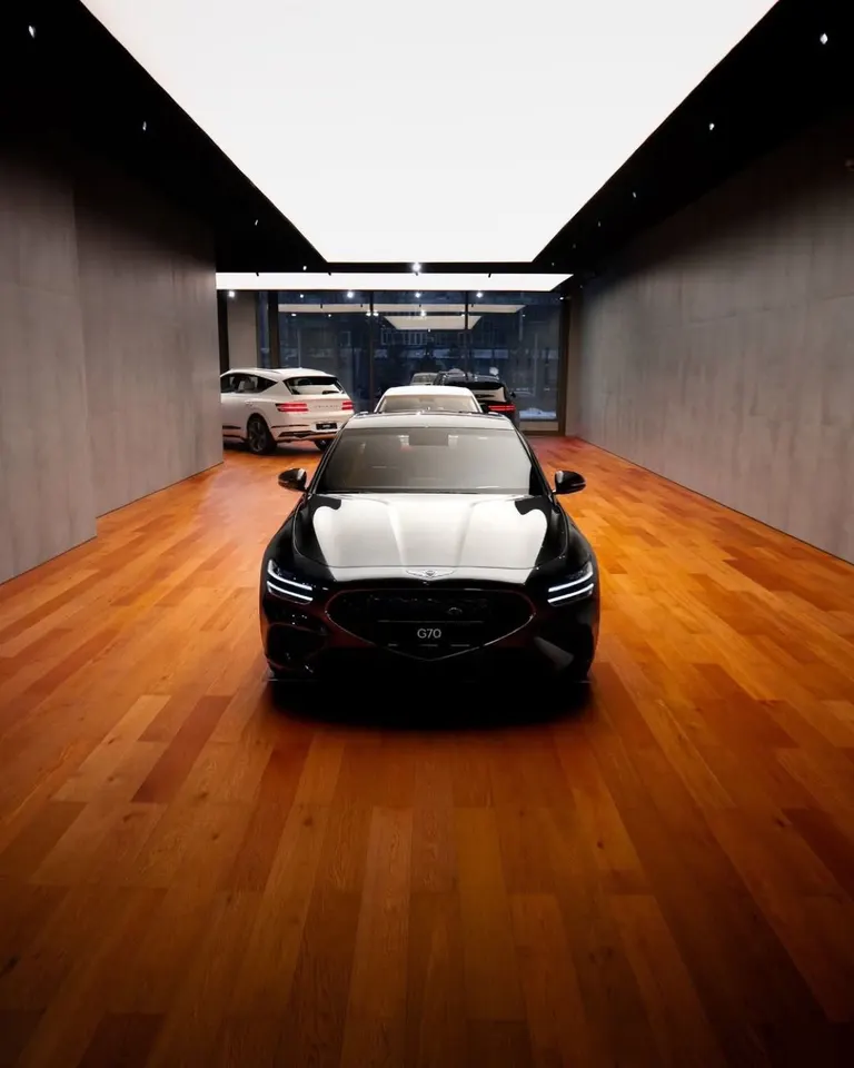 Genesis · 06